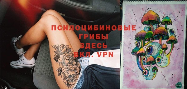 стафф Куртамыш